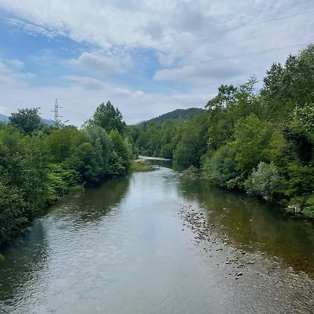 Cozy 1 Bedroom 公寓