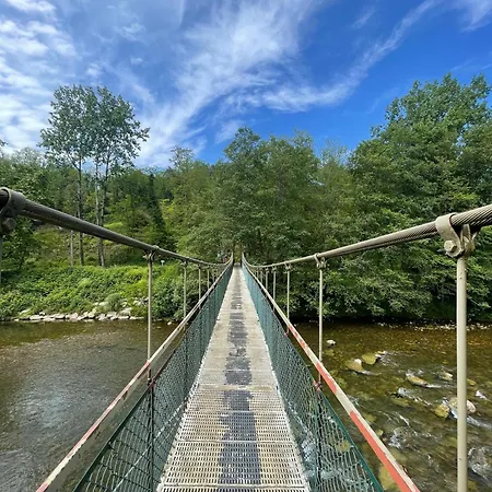 Cozy 1 Bedroom Apartment