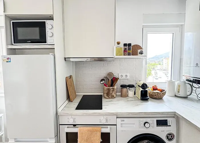 Cozy 1 Bedroom Apartment