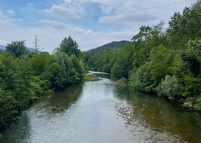 Cozy 1 Bedroom Apartment
