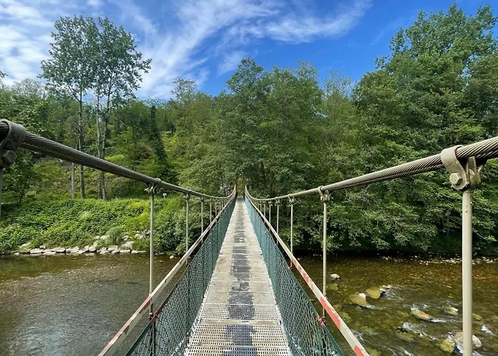 Cozy 1 Bedroom Apartment